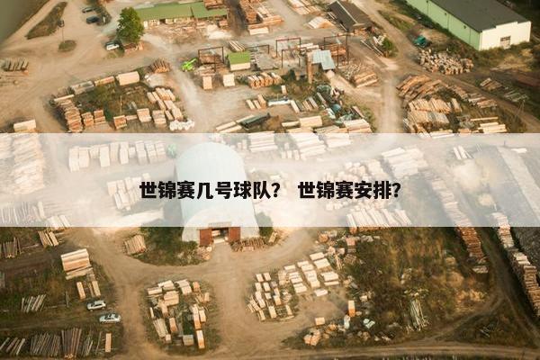世锦赛几号球队？ 世锦赛安排？