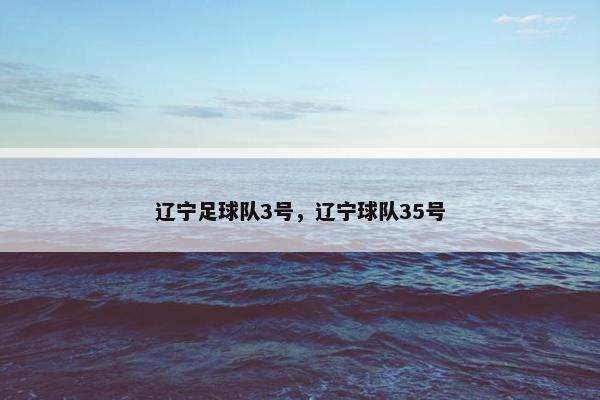 辽宁足球队3号，辽宁球队35号