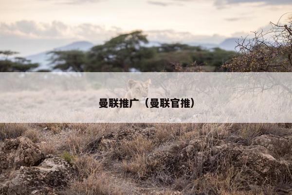曼联推广（曼联官推）