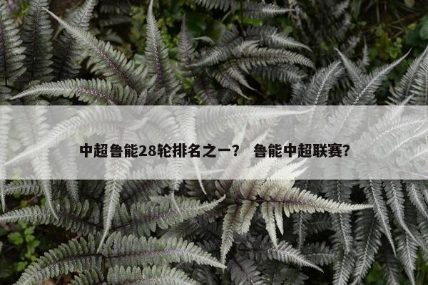中超鲁能28轮排名之一？ 鲁能中超联赛？