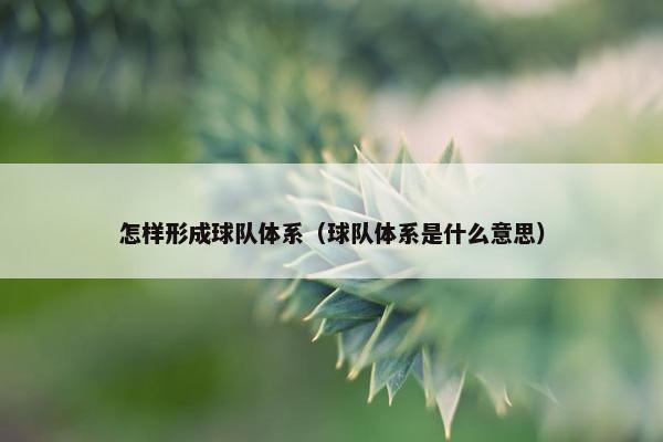 怎样形成球队体系（球队体系是什么意思）