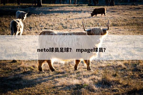neto球员足球？ mpage球员？