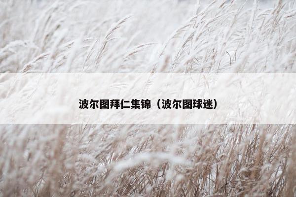 波尔图拜仁集锦（波尔图球迷）
