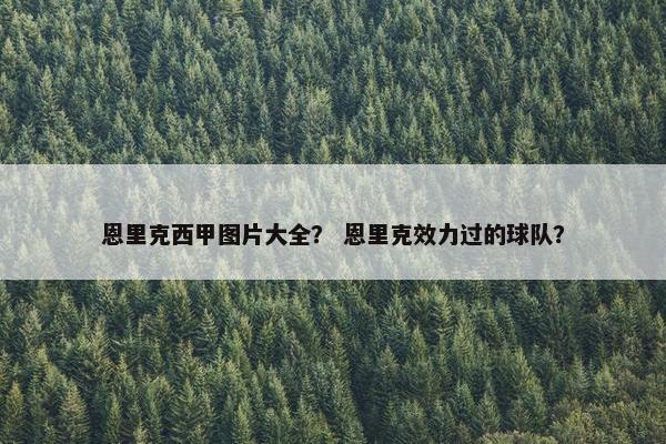 恩里克西甲图片大全？ 恩里克效力过的球队？