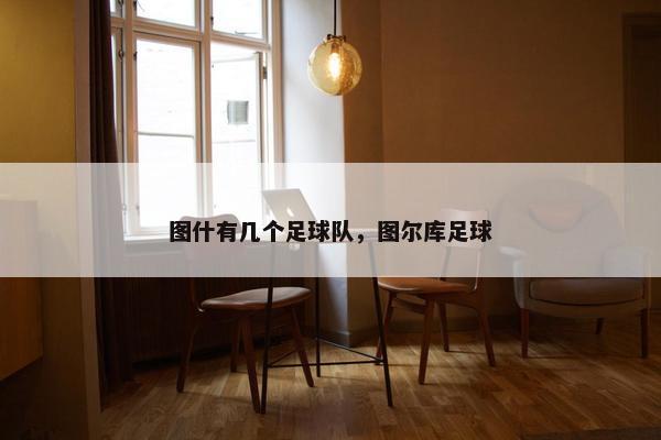 图什有几个足球队，图尔库足球