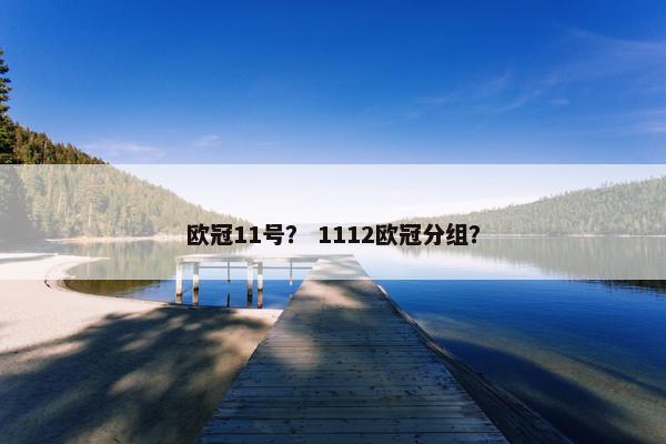 欧冠11号？ 1112欧冠分组？