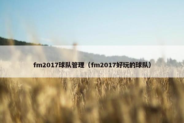 fm2017球队管理（fm2017好玩的球队）