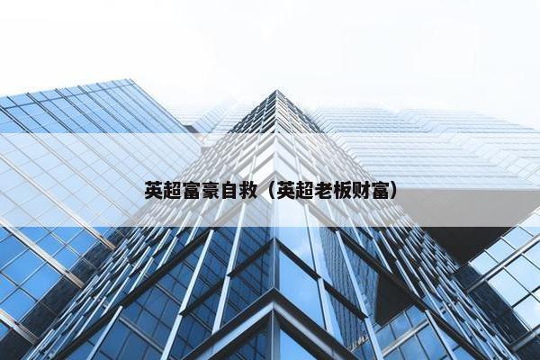 英超富豪自救（英超老板财富）