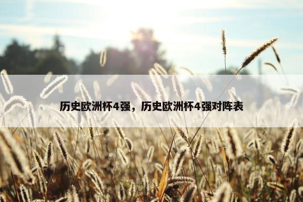 历史欧洲杯4强，历史欧洲杯4强对阵表