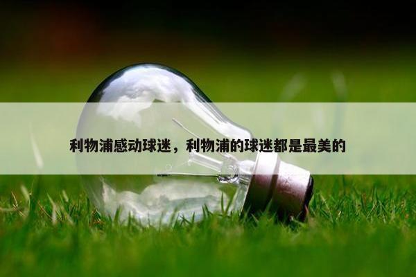 利物浦感动球迷，利物浦的球迷都是最美的