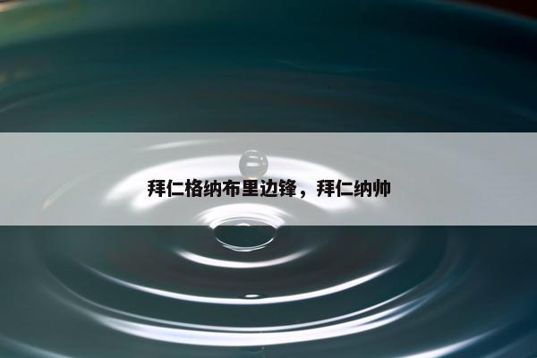拜仁格纳布里边锋，拜仁纳帅