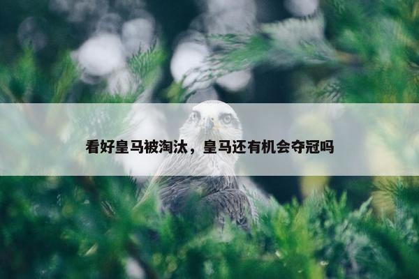 看好皇马被淘汰，皇马还有机会夺冠吗