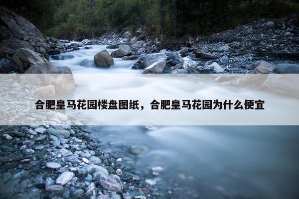 合肥皇马花园楼盘图纸，合肥皇马花园为什么便宜