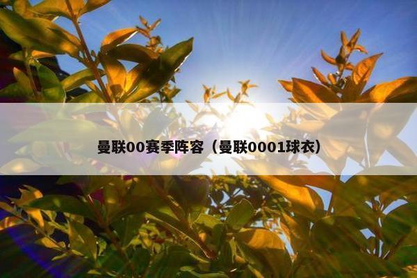 曼联00赛季阵容（曼联0001球衣）