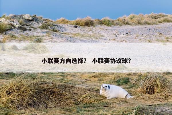 小联赛方向选择？ 小联赛协议球？