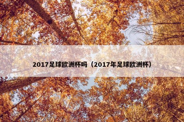 2017足球欧洲杯吗(2017年足球欧洲杯) 2017足球欧洲杯吗(2017年足球欧洲杯)