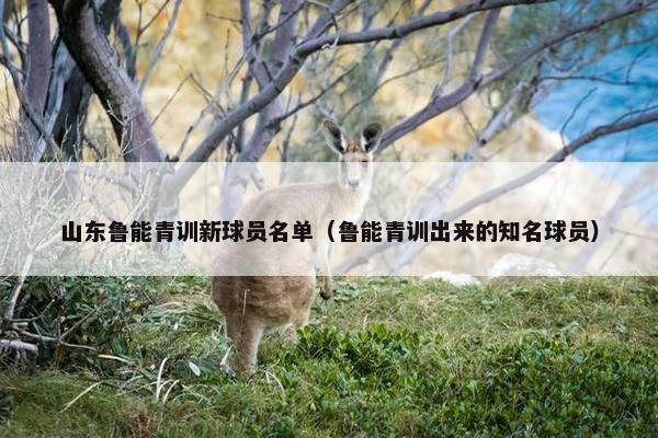 山东鲁能青训新球员名单（鲁能青训出来的知名球员）