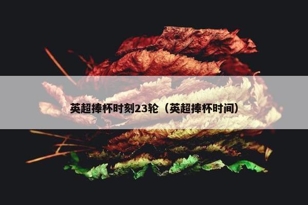 英超捧杯时刻23轮（英超捧杯时间）