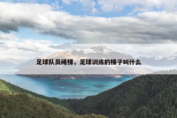 足球队员绳梯，足球训练的梯子叫什么