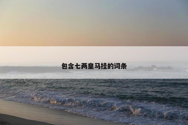 包含七两皇马挂的词条