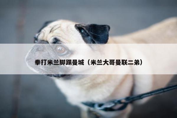 拳打米兰脚踢曼城（米兰大哥曼联二弟）