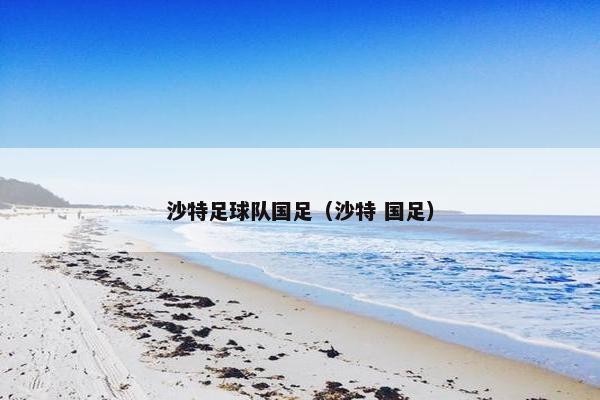 沙特足球队国足（沙特 国足）