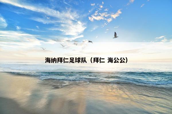 海纳拜仁足球队（拜仁 海公公）