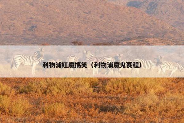 利物浦红魔搞笑（利物浦魔鬼赛程）