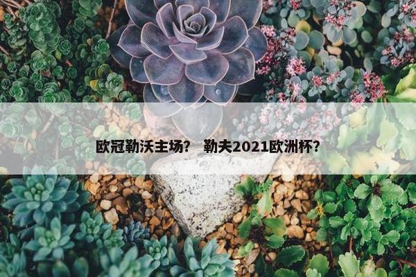 欧冠勒沃主场？ 勒夫2021欧洲杯？