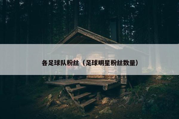 各足球队粉丝（足球明星粉丝数量）