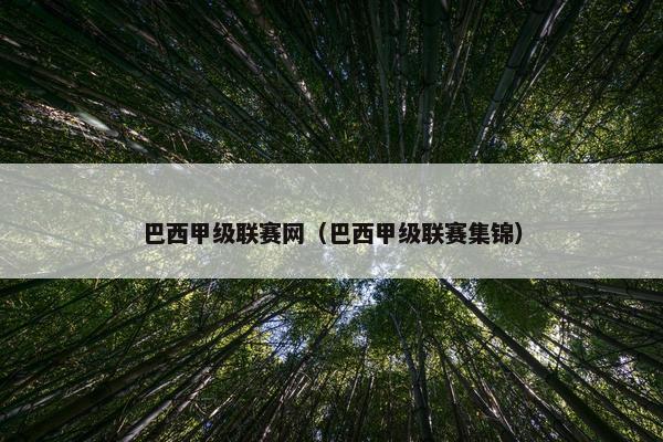 巴西甲级联赛网（巴西甲级联赛集锦）