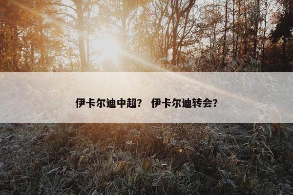 伊卡尔迪中超？ 伊卡尔迪转会？