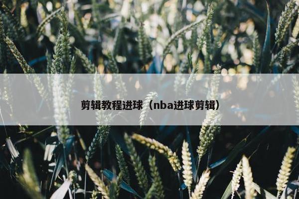 剪辑教程进球（nba进球剪辑）