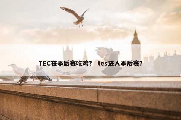 TEC在季后赛吃鸡？ tes进入季后赛？