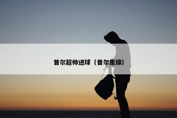 普尔超帅进球（普尔集锦）