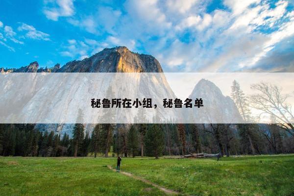 秘鲁所在小组，秘鲁名单