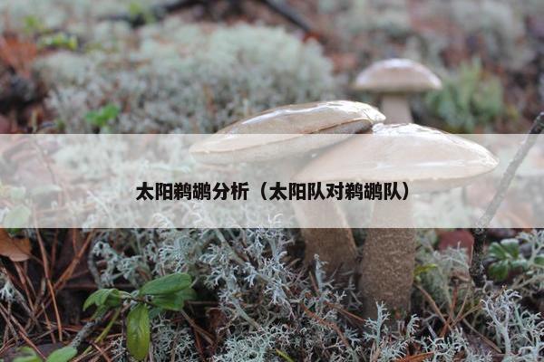 太阳鹈鹕分析（太阳队对鹈鹕队）