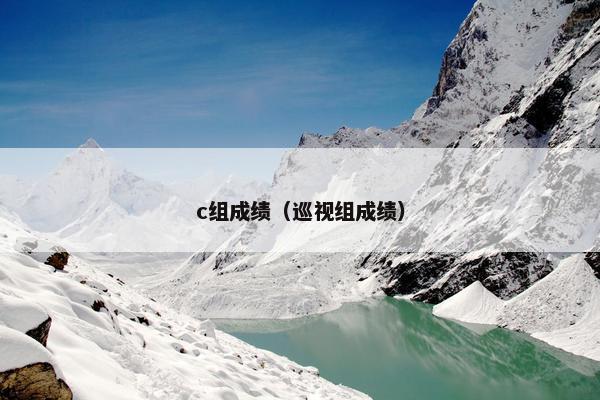 c组成绩（巡视组成绩）