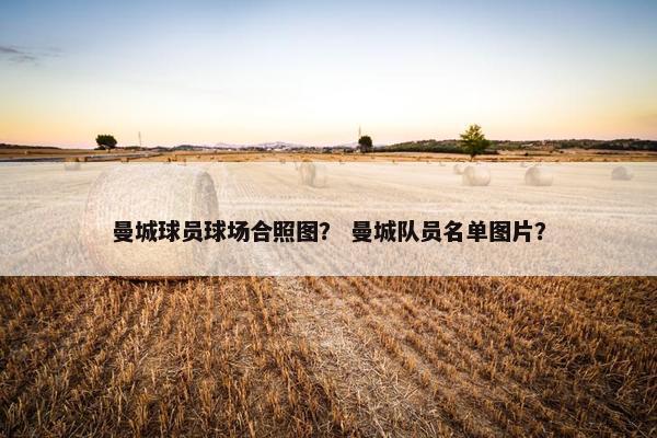 曼城球员球场合照图？ 曼城队员名单图片？