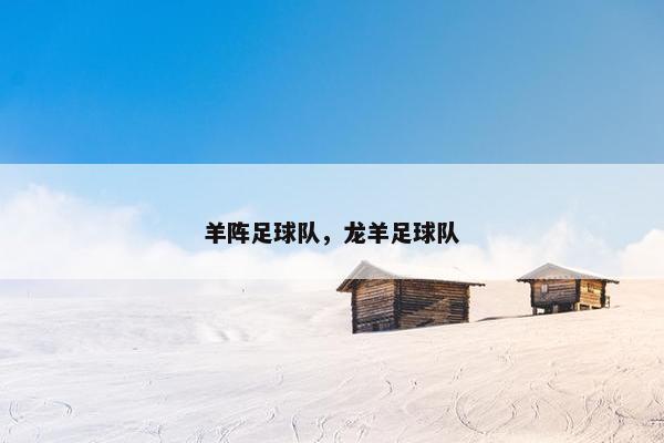 羊阵足球队，龙羊足球队