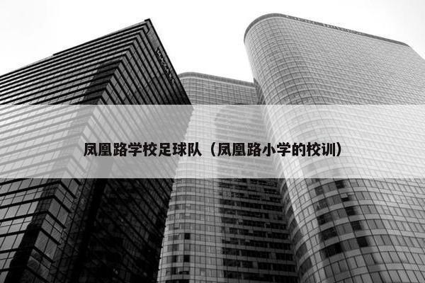 凤凰路学校足球队（凤凰路小学的校训）