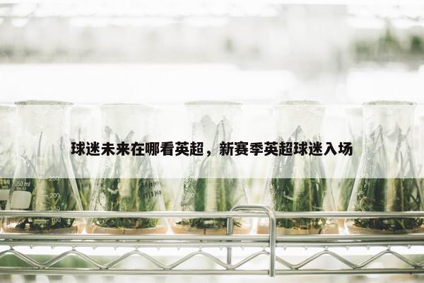 球迷未来在哪看英超，新赛季英超球迷入场