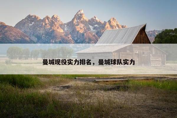 曼城现役实力排名，曼城球队实力