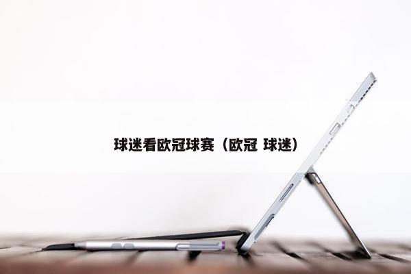 球迷看欧冠球赛（欧冠 球迷）