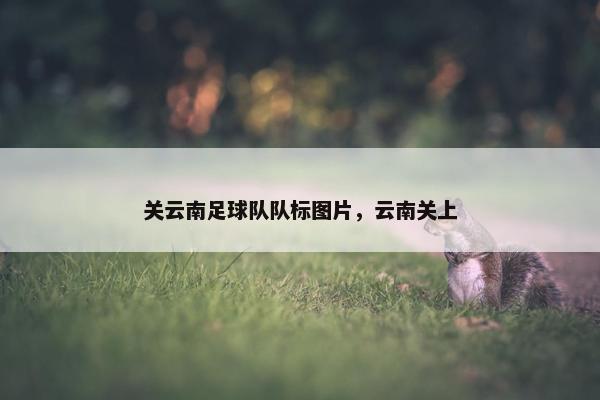 关云南足球队队标图片，云南关上