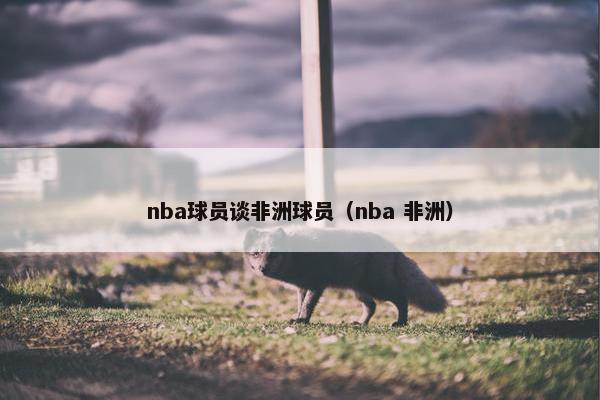 nba球员谈非洲球员（nba 非洲）