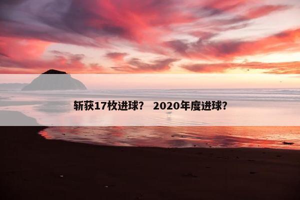 斩获17枚进球？ 2020年度进球？