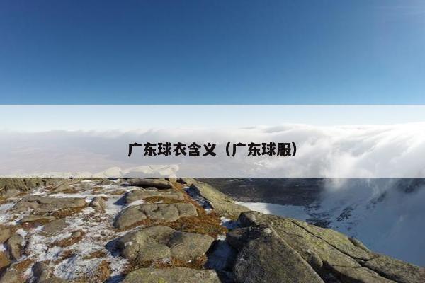 广东球衣含义（广东球服）