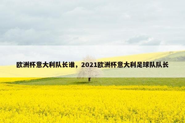 欧洲杯意大利队长谁，2021欧洲杯意大利足球队队长