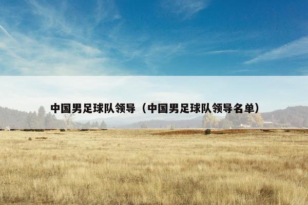 中国男足球队领导（中国男足球队领导名单）